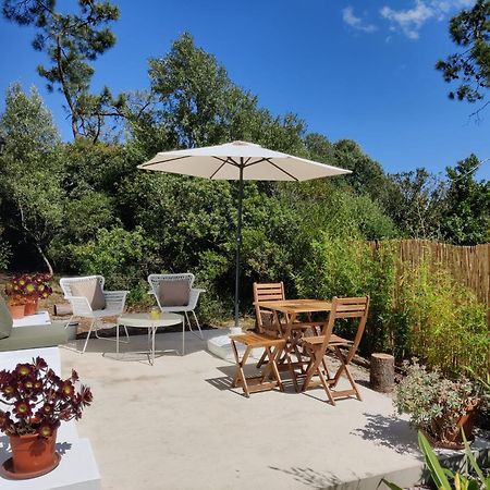 Quinta Do Alento Bed & Breakfast Sesimbra Bagian luar foto