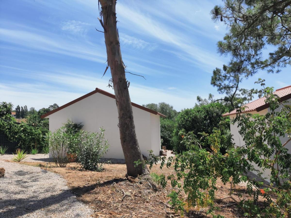 Quinta Do Alento Bed & Breakfast Sesimbra Bagian luar foto