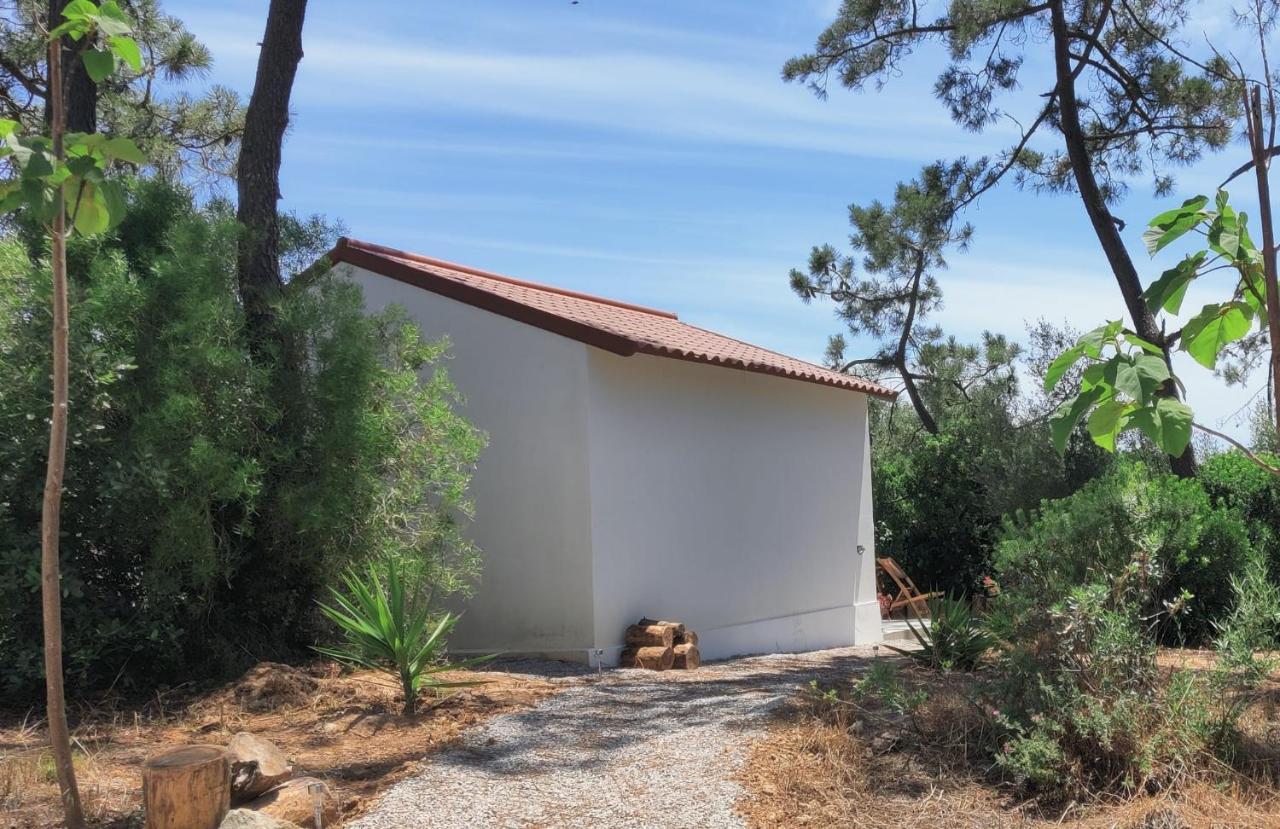Quinta Do Alento Bed & Breakfast Sesimbra Bagian luar foto